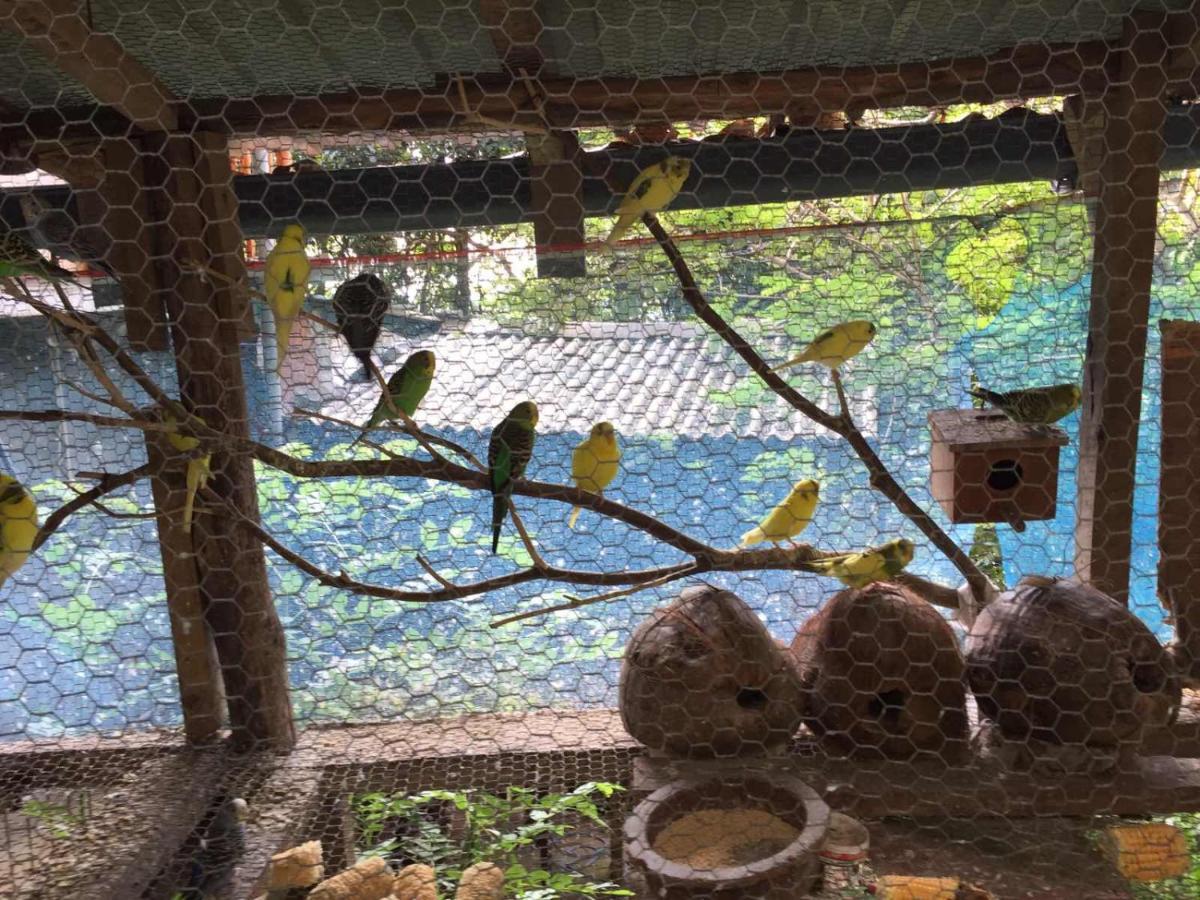 Ella Nature Nest Dış mekan fotoğraf