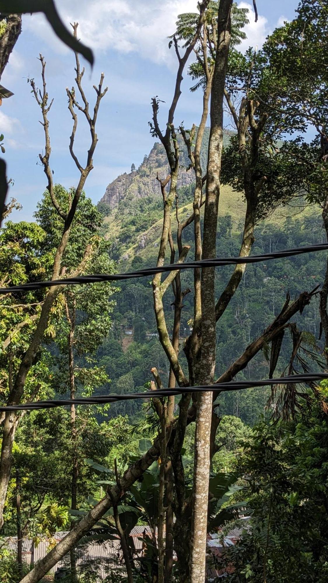Ella Nature Nest Dış mekan fotoğraf