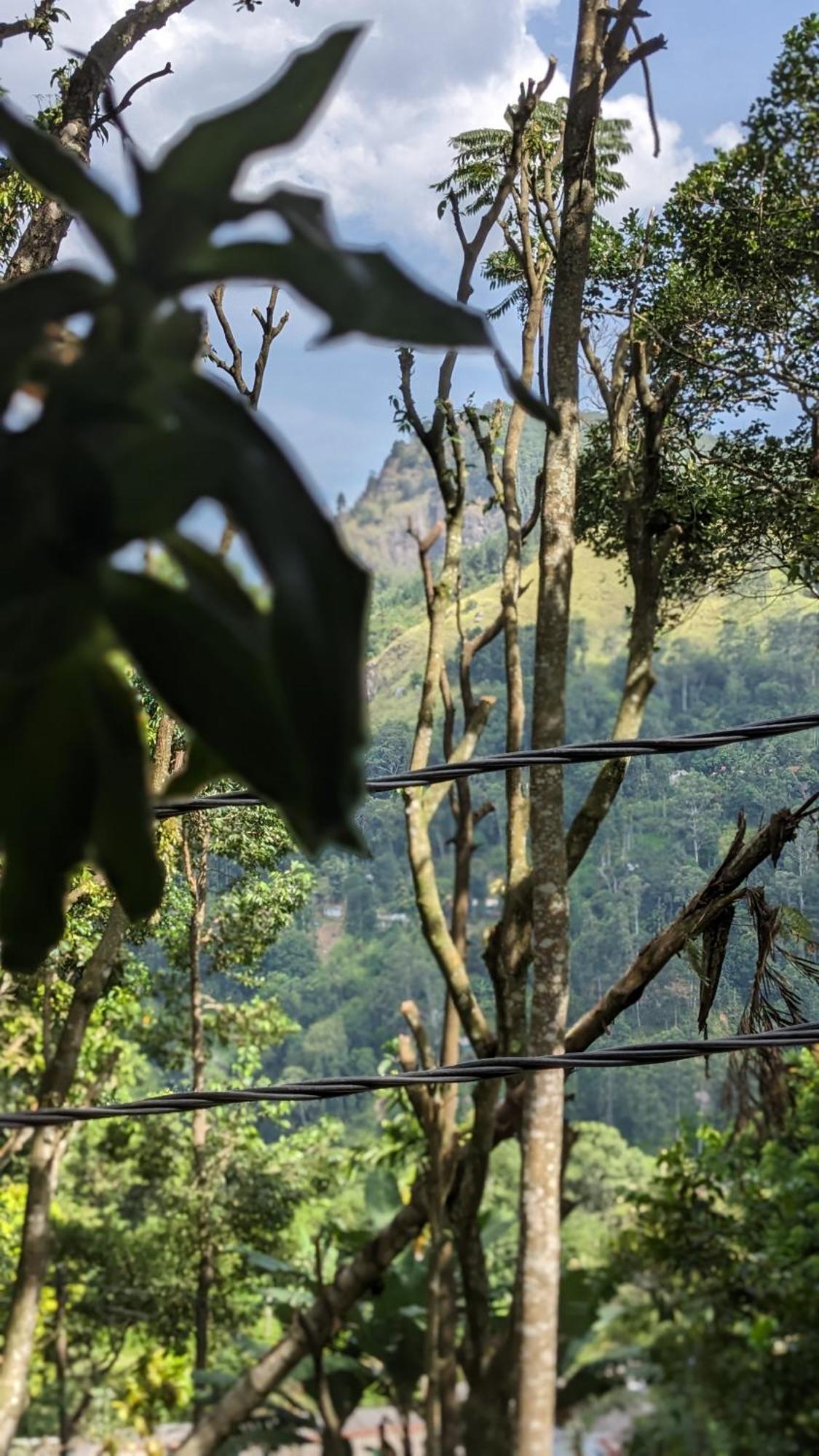 Ella Nature Nest Dış mekan fotoğraf