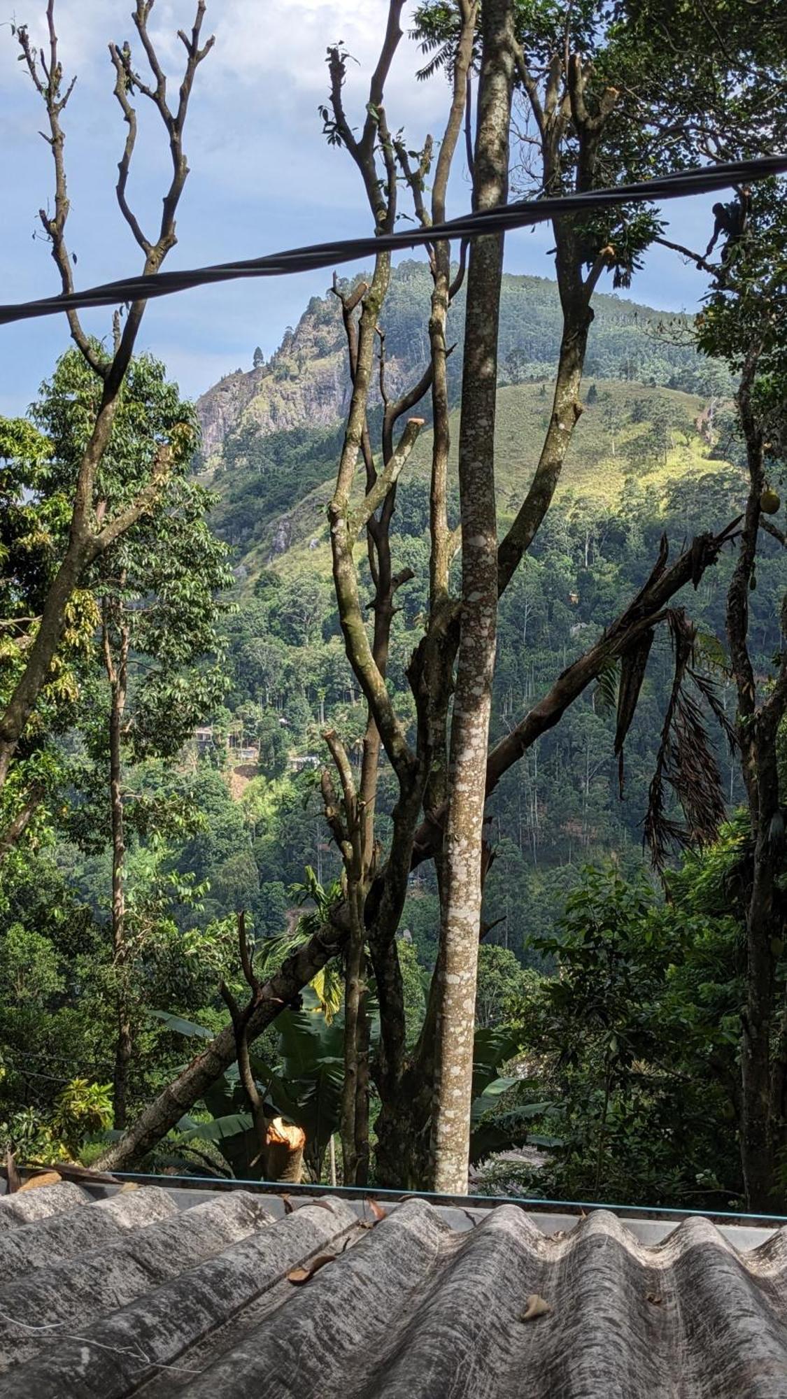 Ella Nature Nest Dış mekan fotoğraf