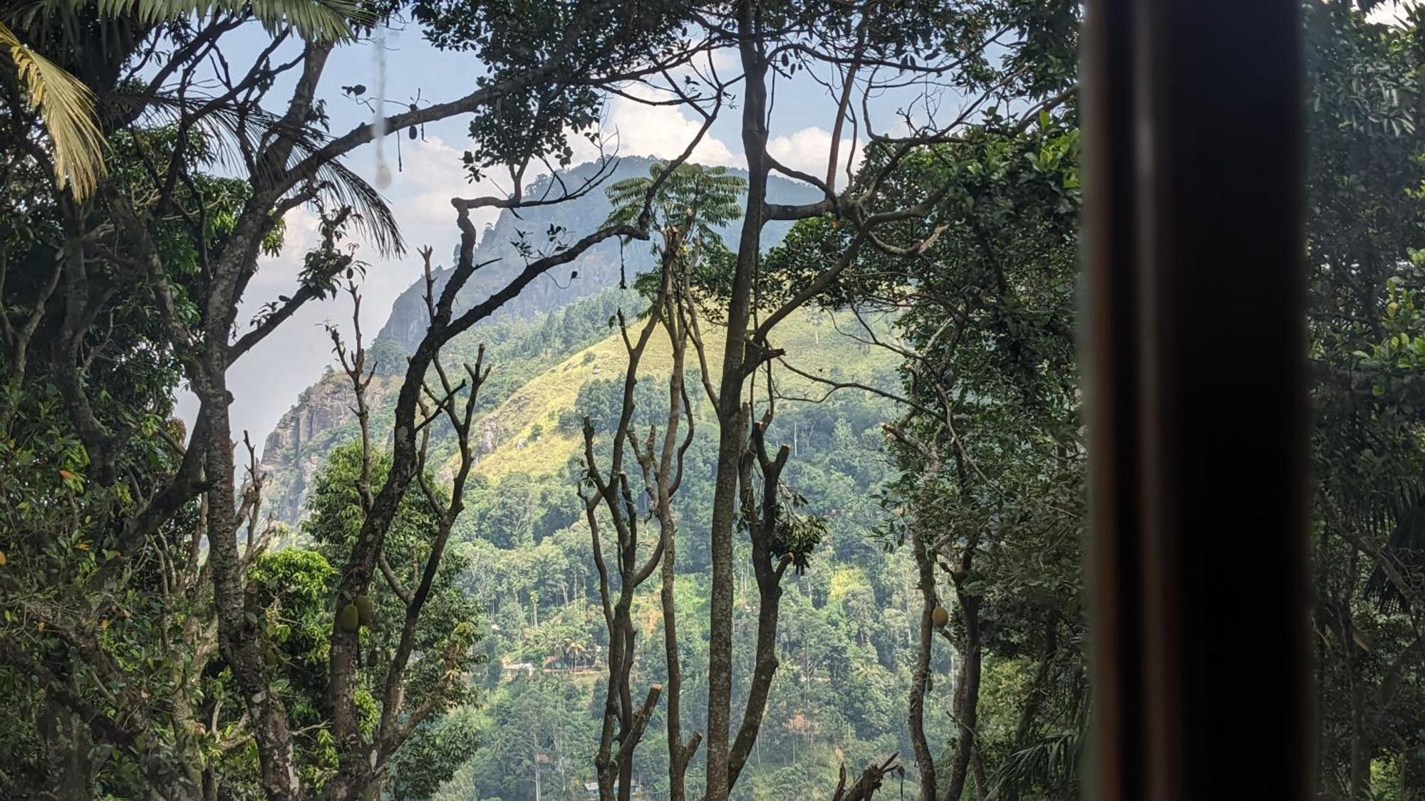 Ella Nature Nest Dış mekan fotoğraf