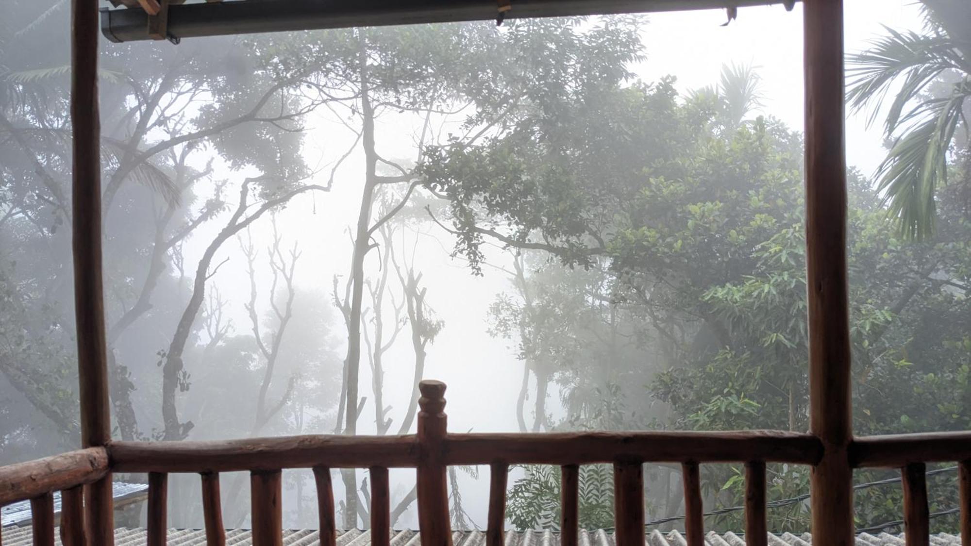 Ella Nature Nest Dış mekan fotoğraf
