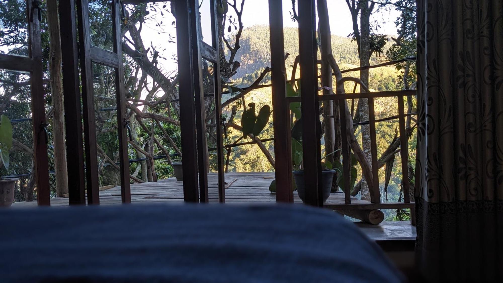 Ella Nature Nest Oda fotoğraf