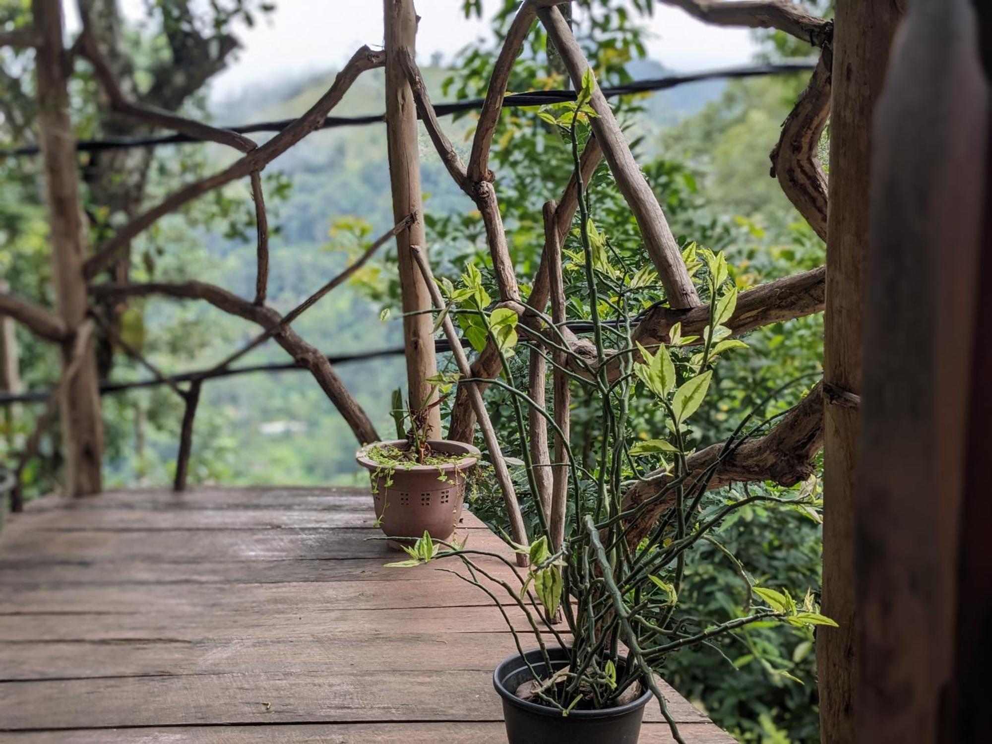 Ella Nature Nest Dış mekan fotoğraf